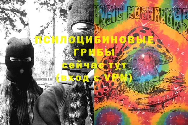 хмурый Волоколамск