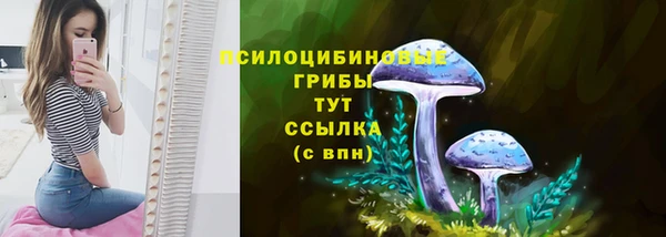 хмурый Волоколамск