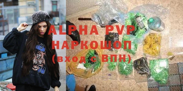 хмурый Волоколамск
