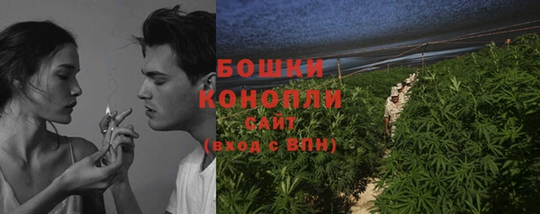 мдпв Володарск