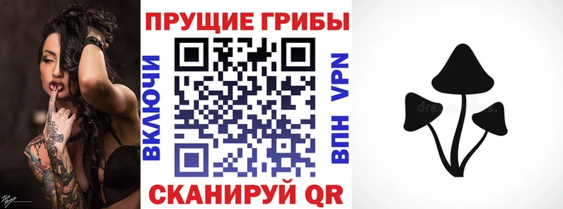 Купить закладки  Яровое  Галлюциногенные грибы Psilocybe 